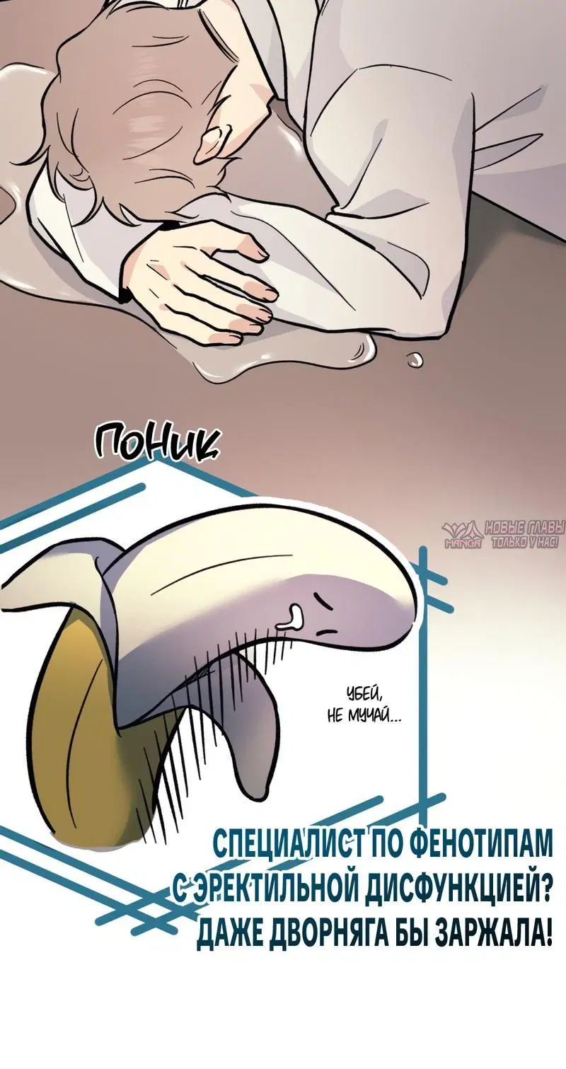 Page 4.001