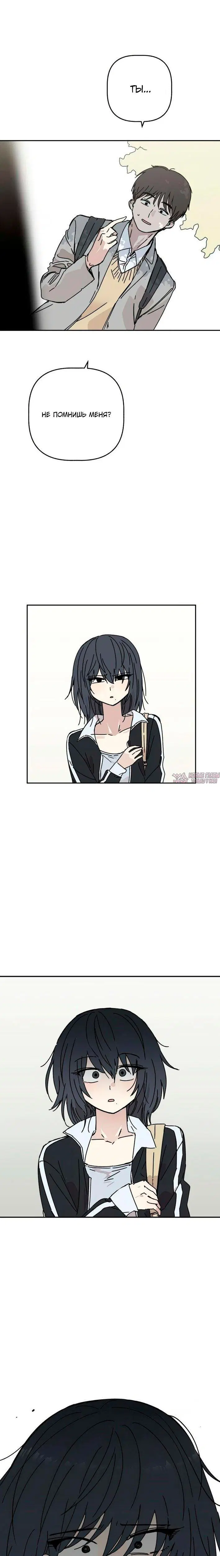 Page 5.001
