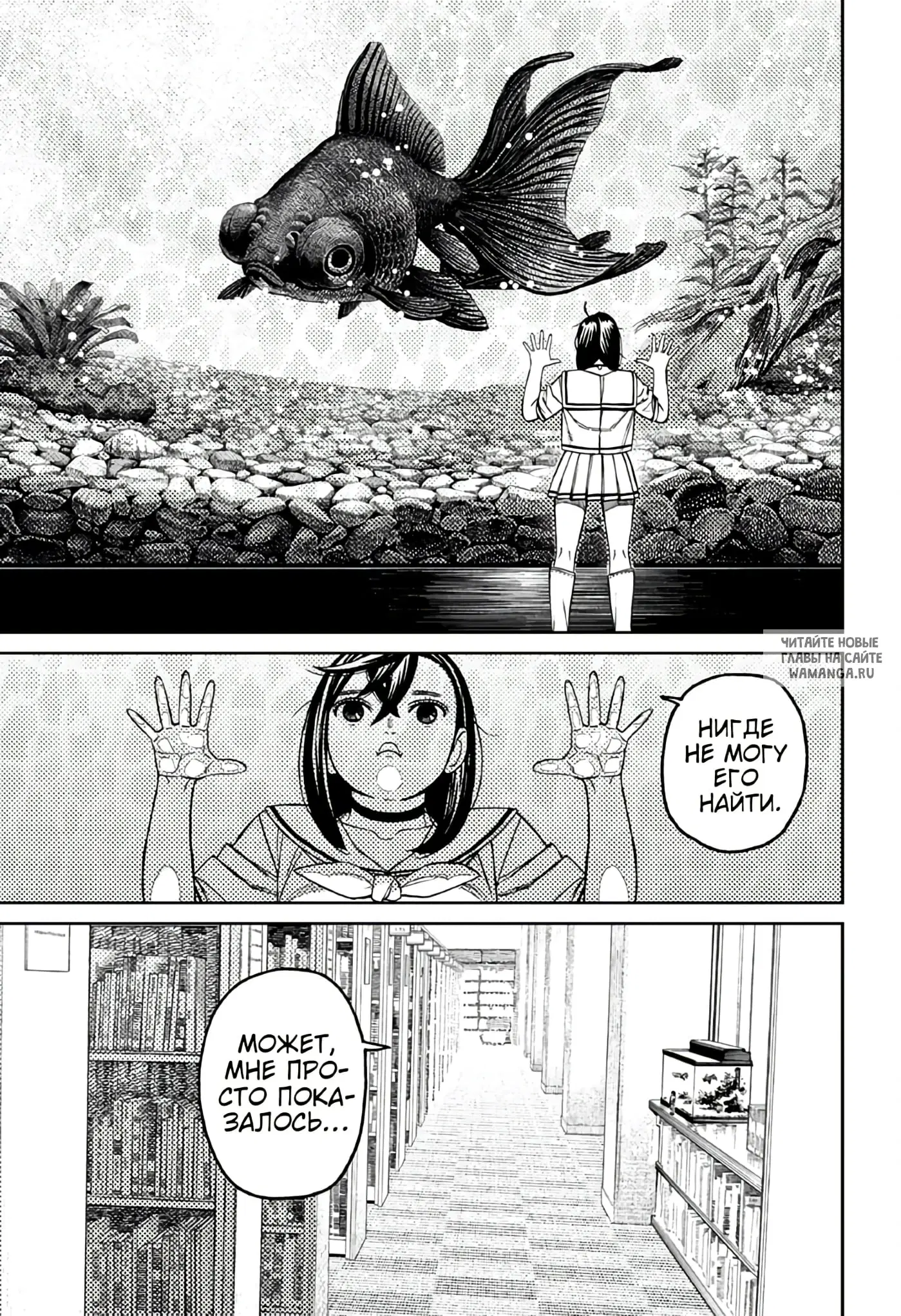 Page 5.000