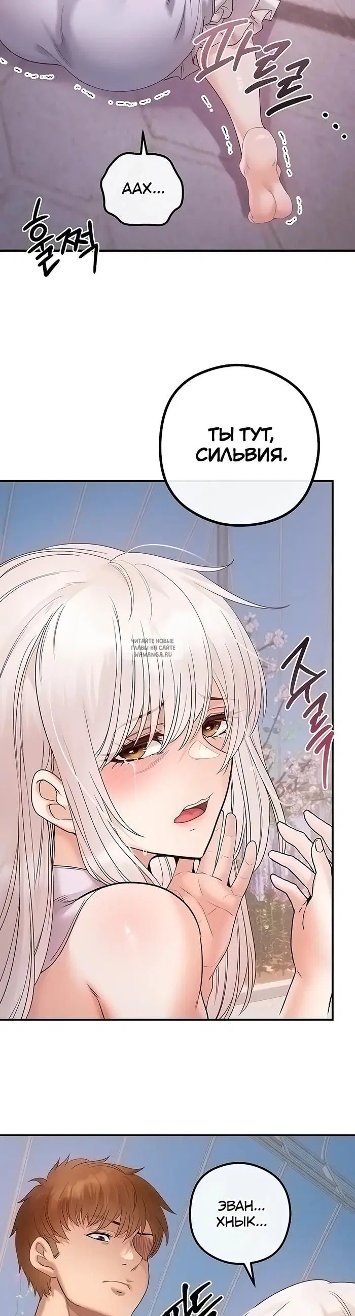 Page 36.000