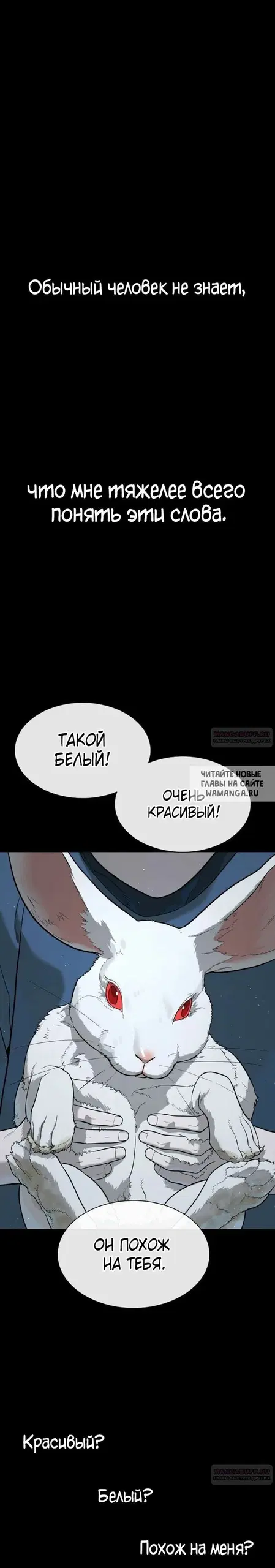 Page 37.000