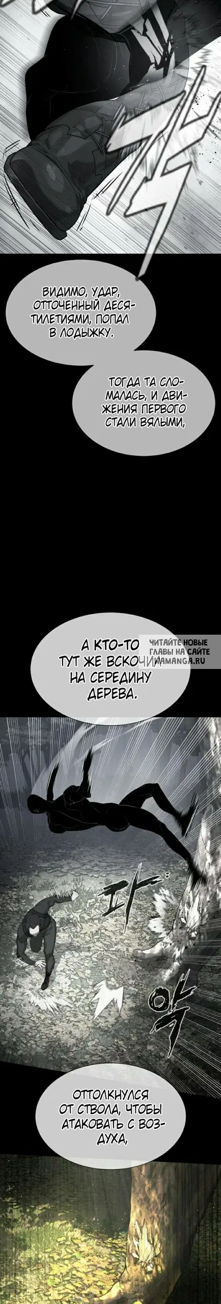Page 41.000