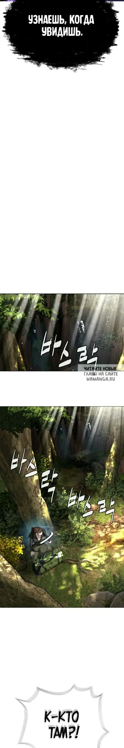 Page 53.000