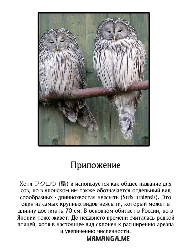 Page 23.000