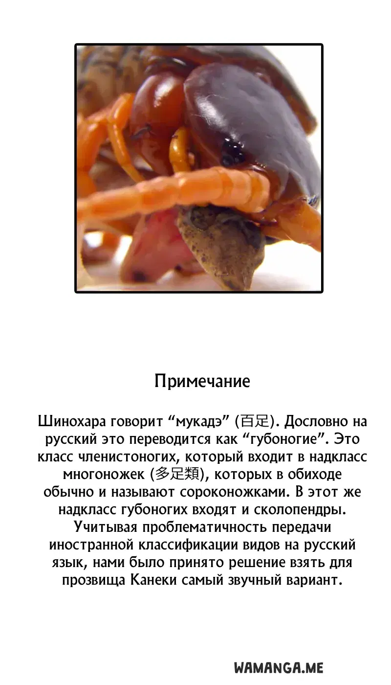 Page 23.000