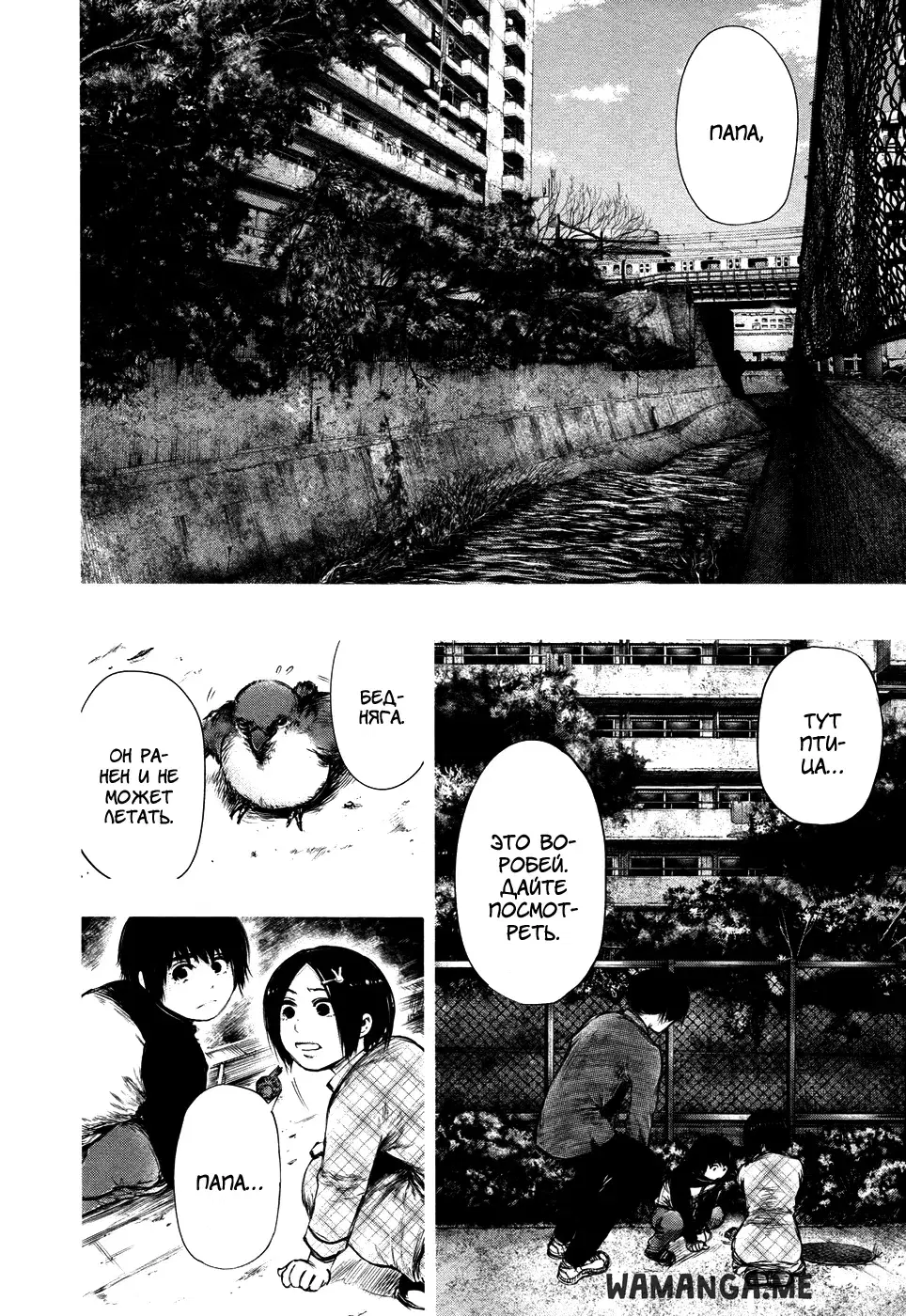 Page 8.000
