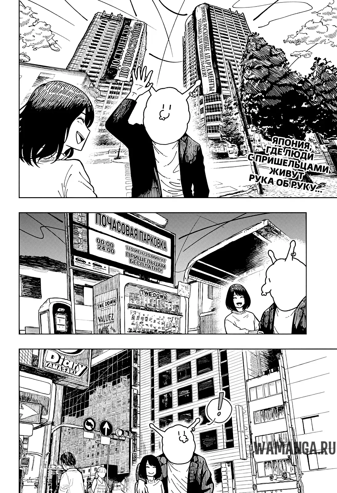 Page 3.000