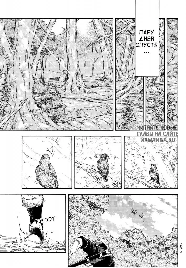 Page 11.000