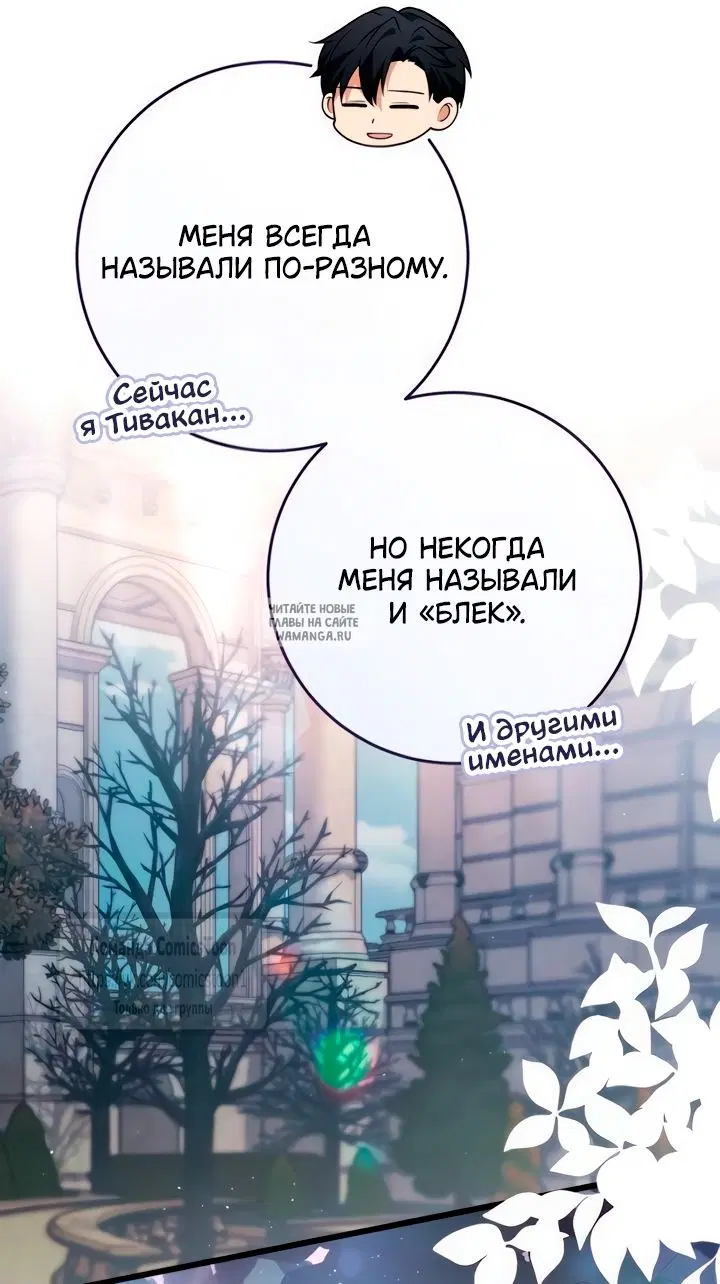 Page 55.000
