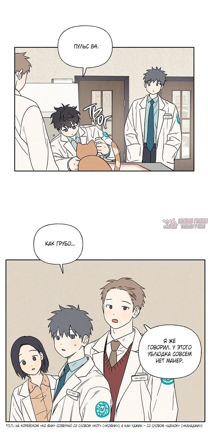 Page 5.001