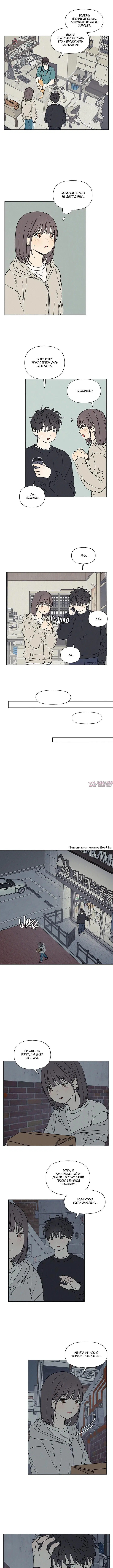 Page 5.000
