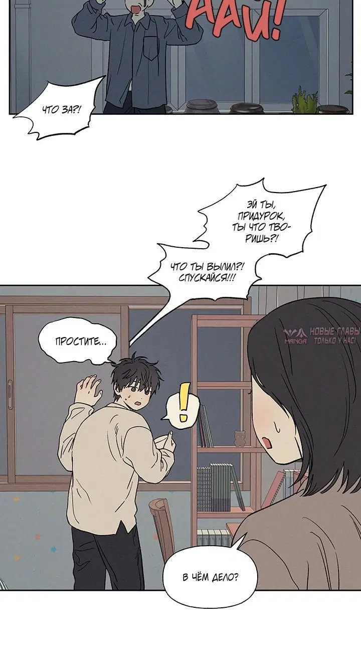 Page 6.001