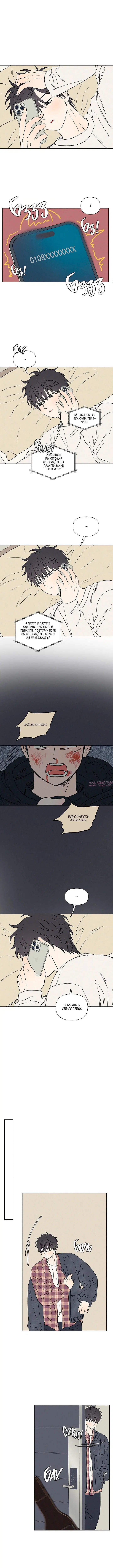 Page 6.000