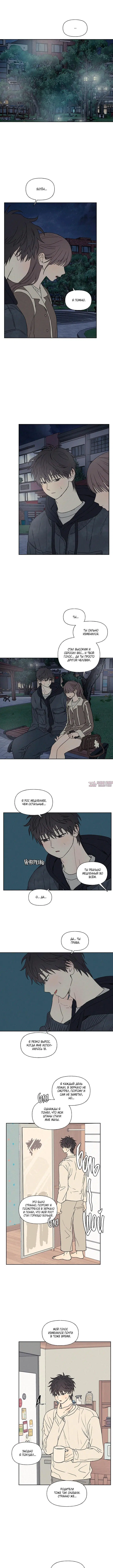 Page 3.000