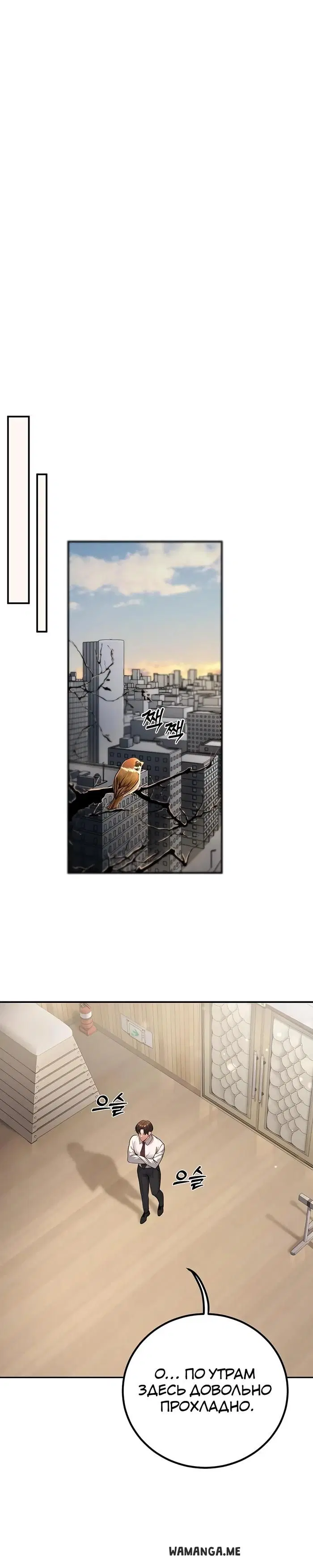 Page 43.000