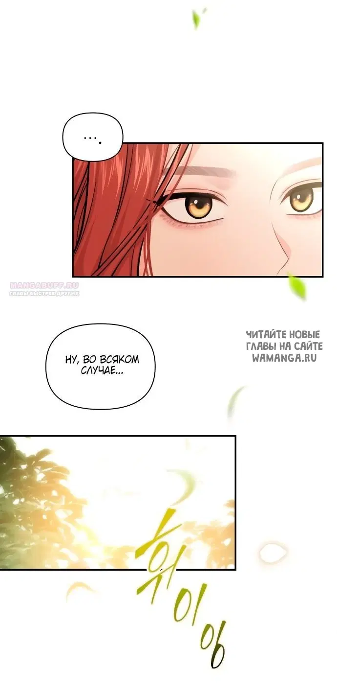 Page 50.000