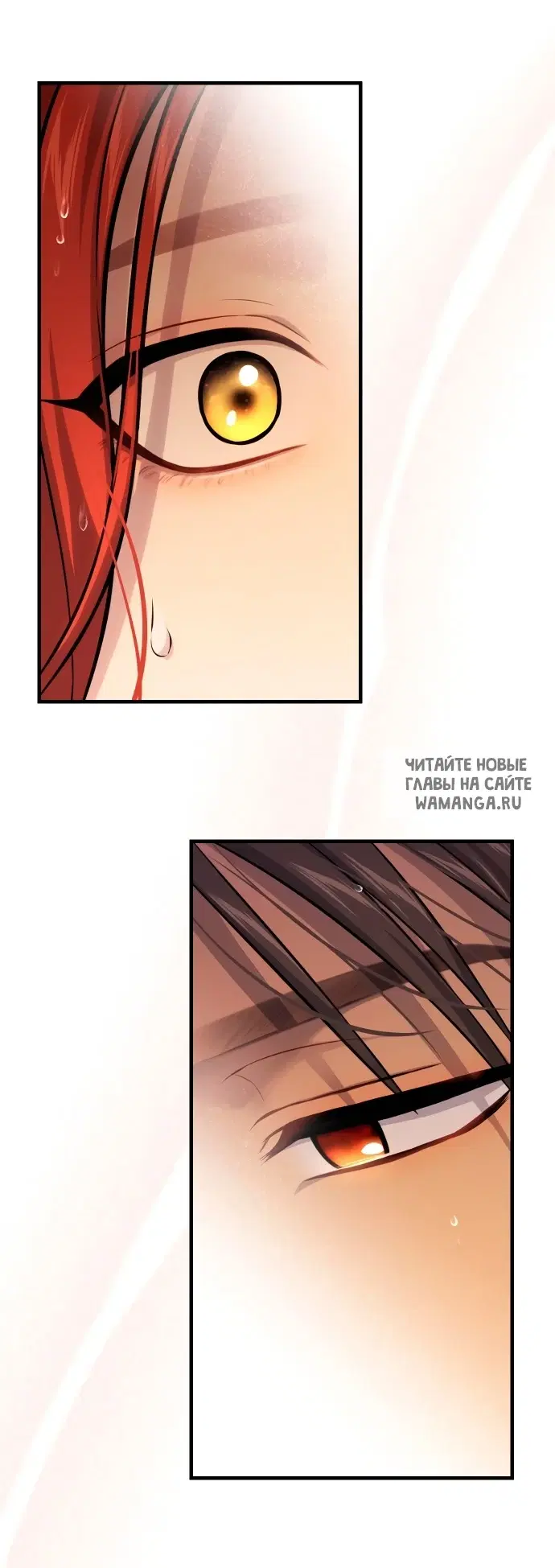 Page 51.000