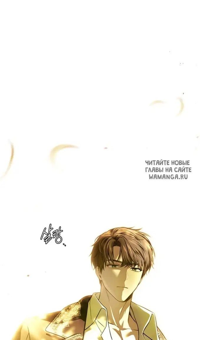 Page 51.000