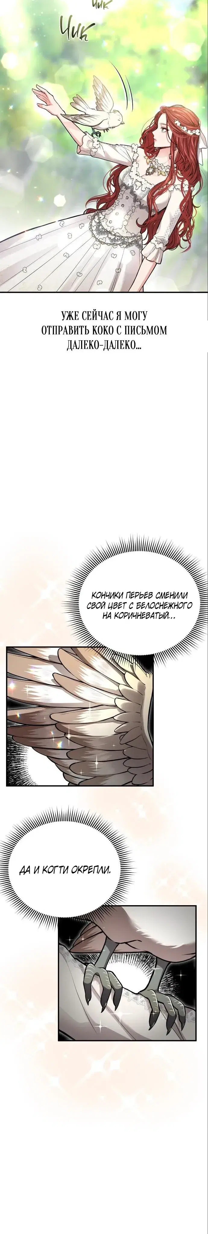 Page 5.001