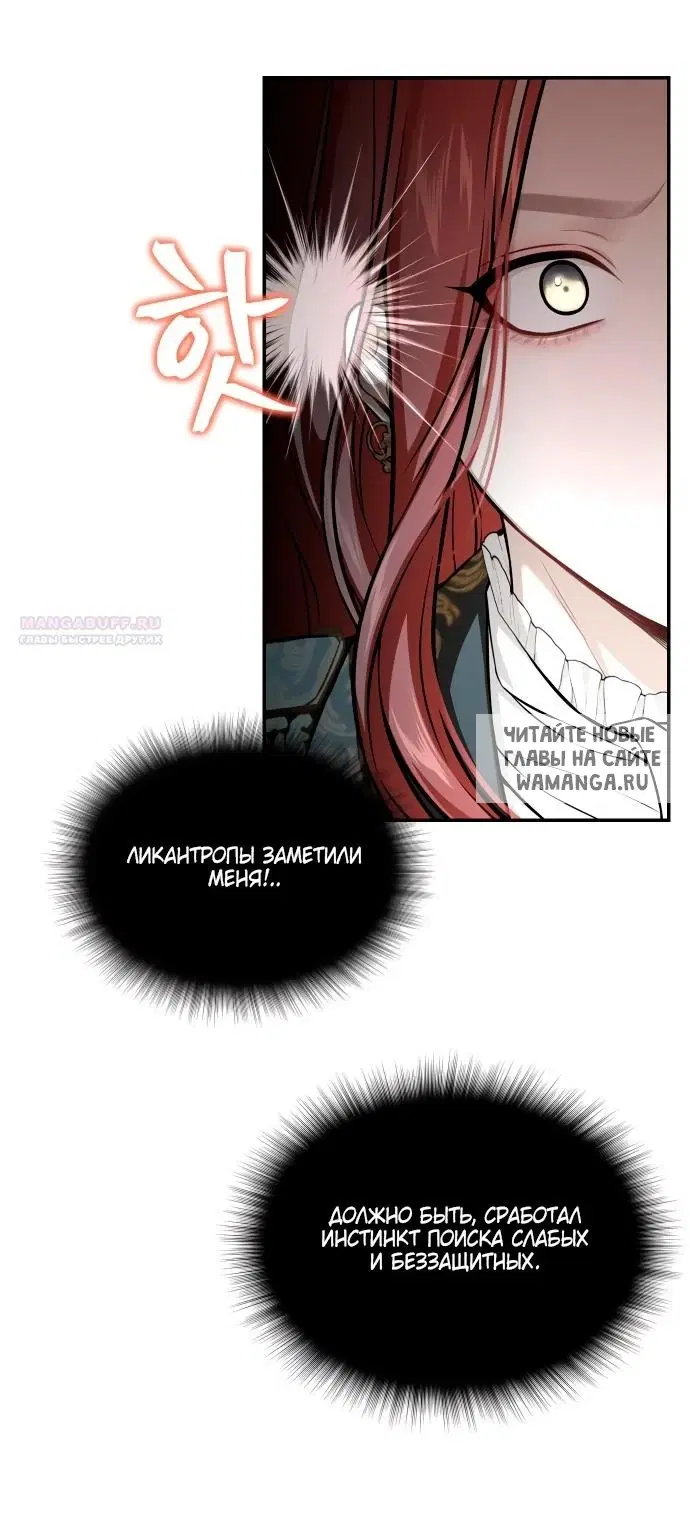 Page 81.000