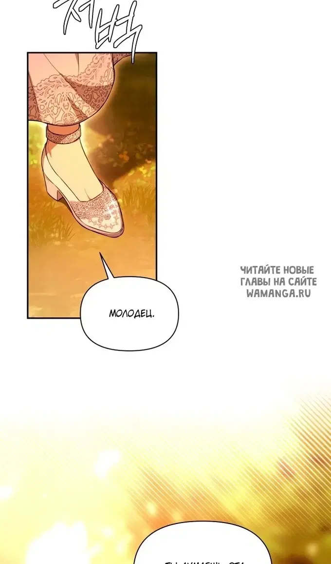 Page 81.000