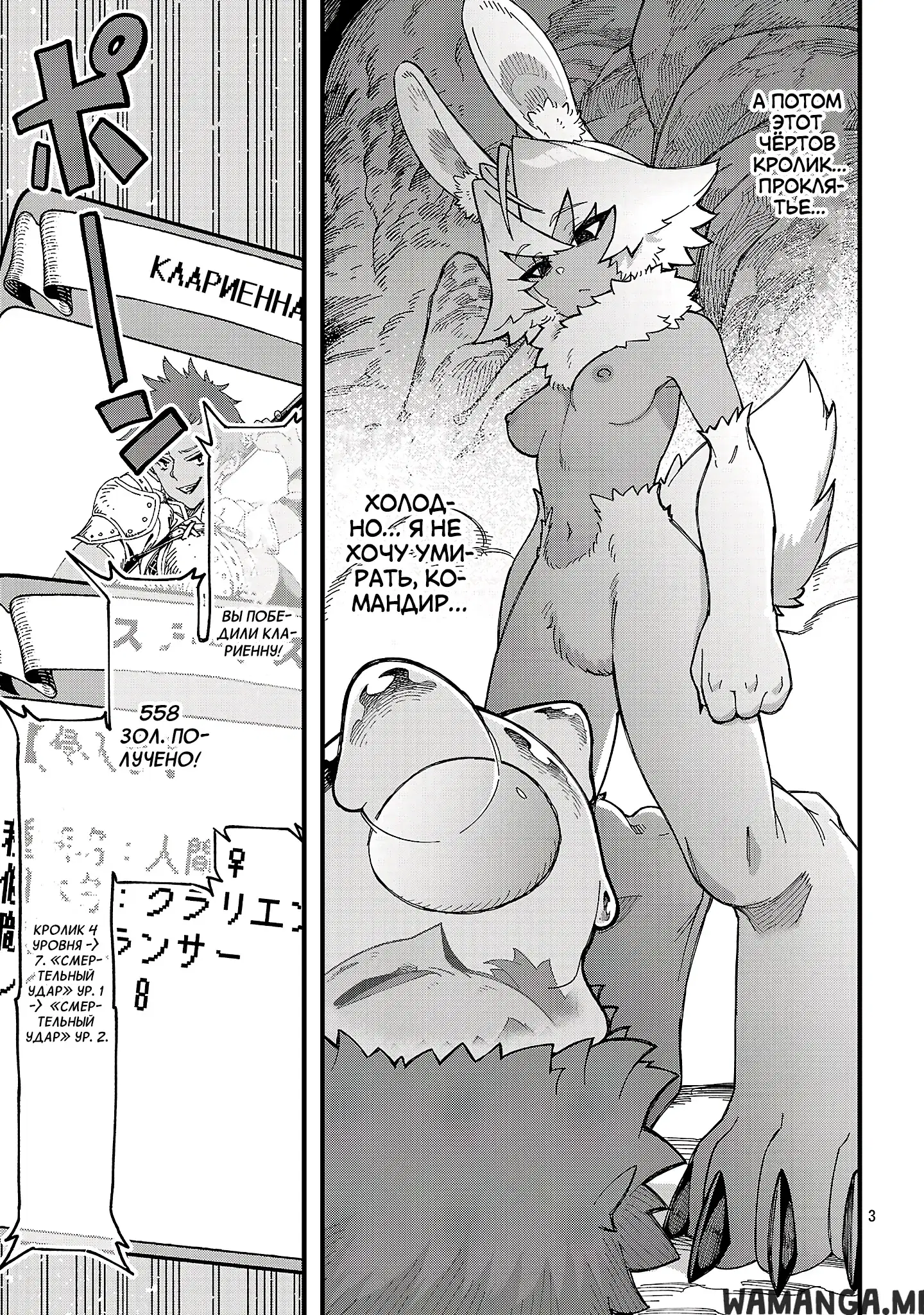Page 3.000