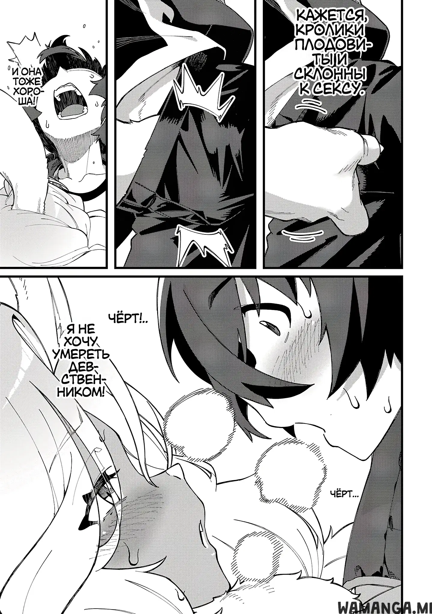 Page 4.000