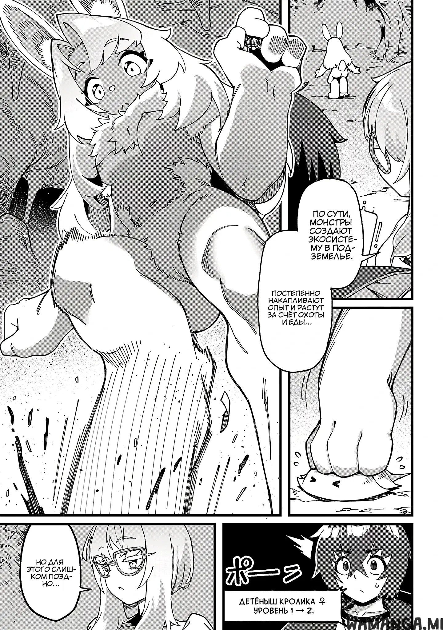 Page 8.000