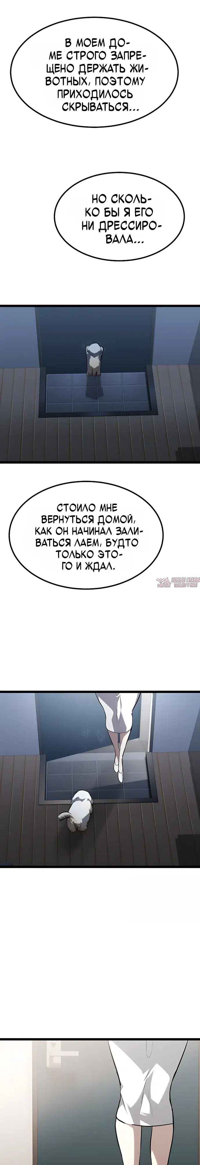 «Гоблин 999 уровня», глава 49, страница 11.000000000