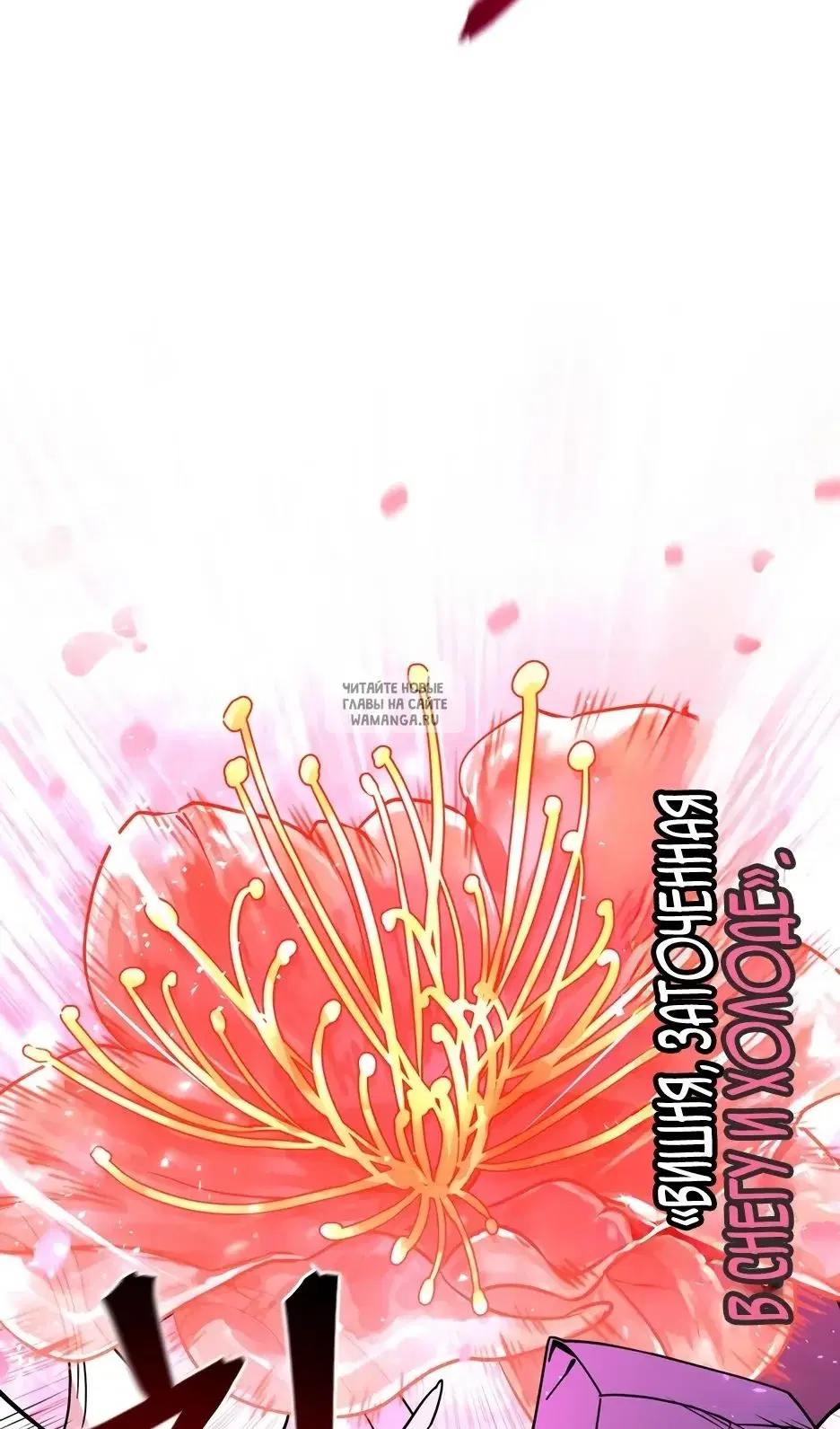Page 54.000