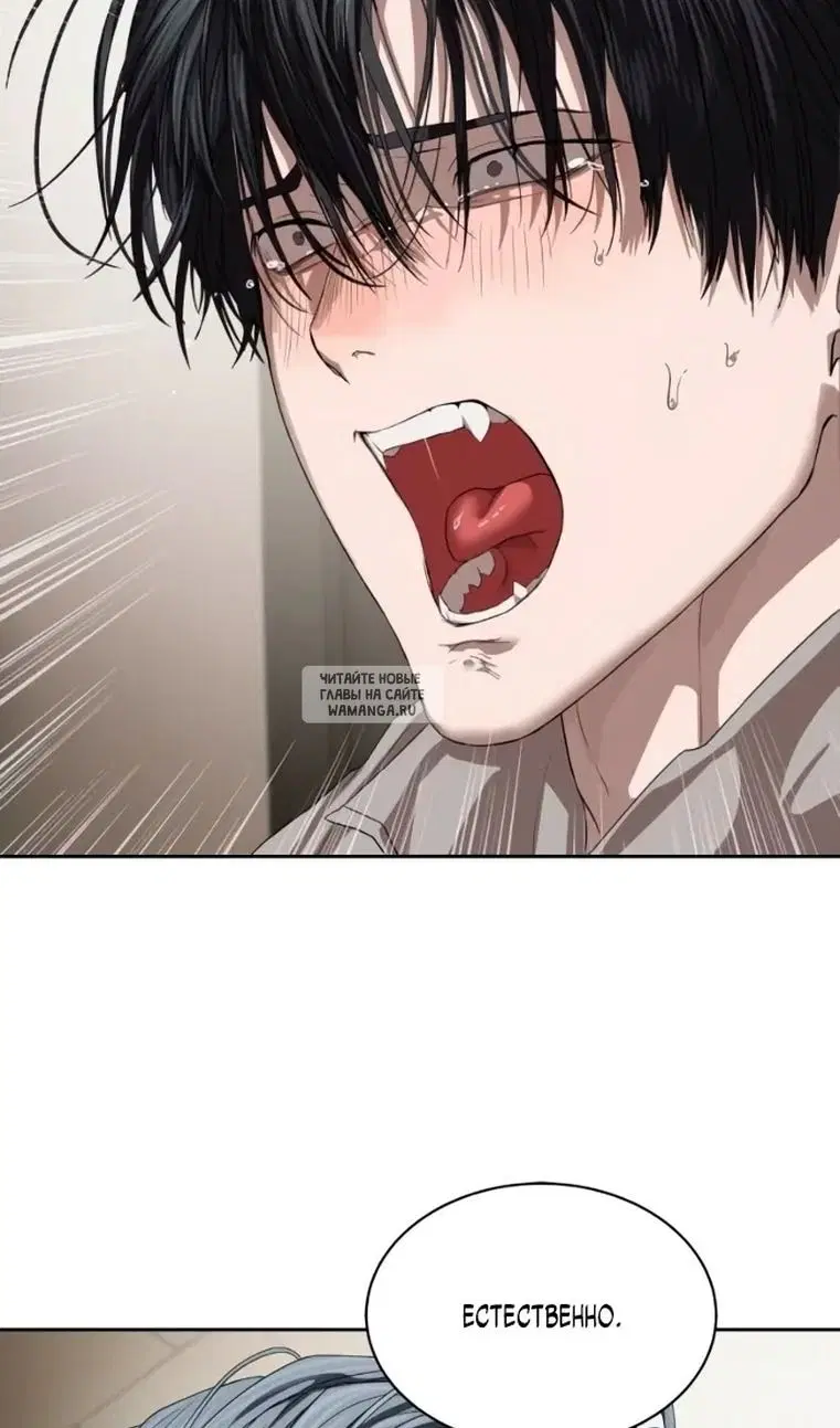 Page 37.000