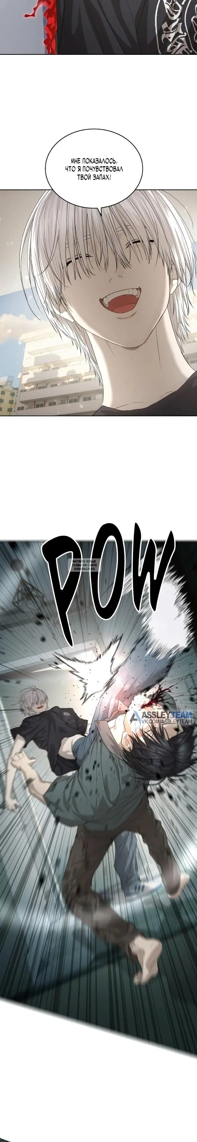 Page 31.000