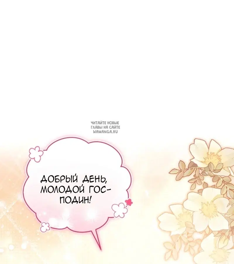 Page 54.000