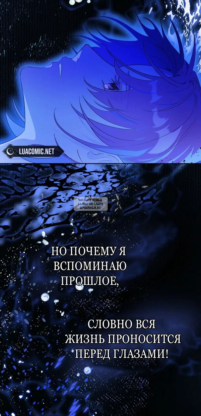Page 81.000