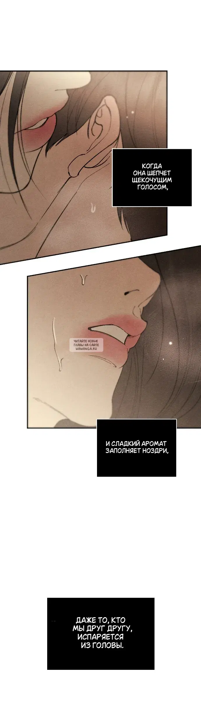 Page 35.000