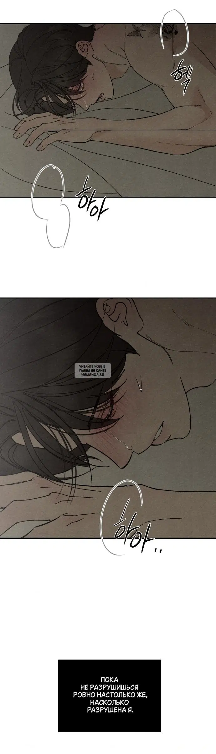 Page 39.000