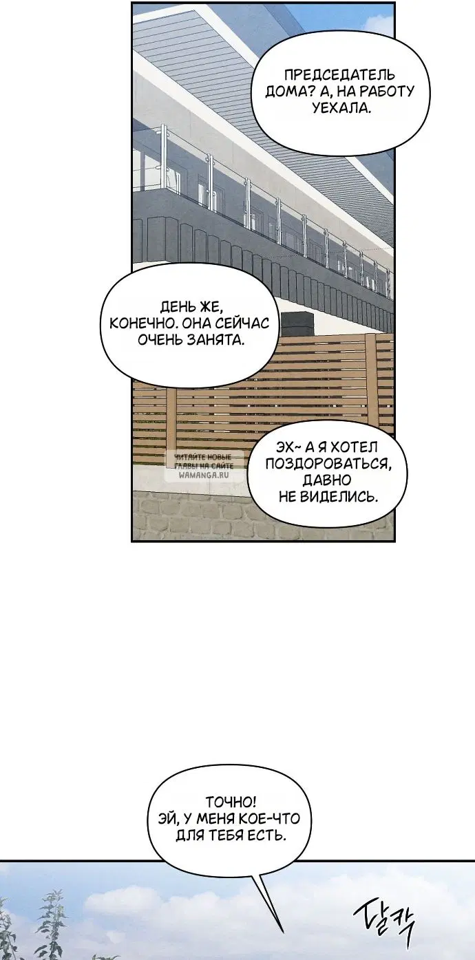 Page 31.000