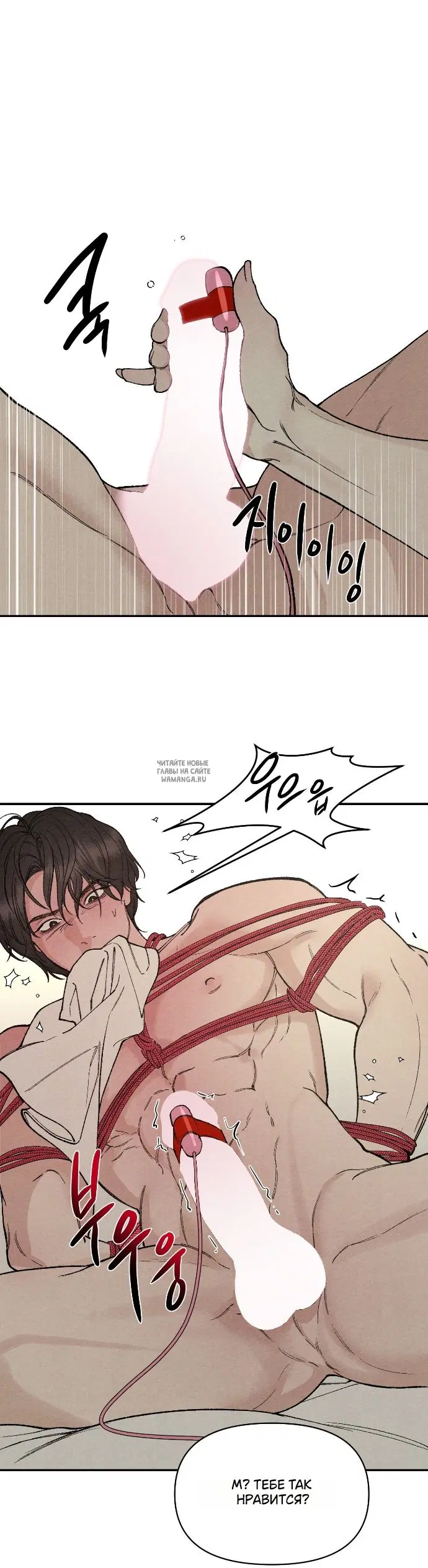 Page 31.000