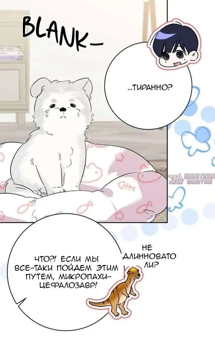 Page 58.000