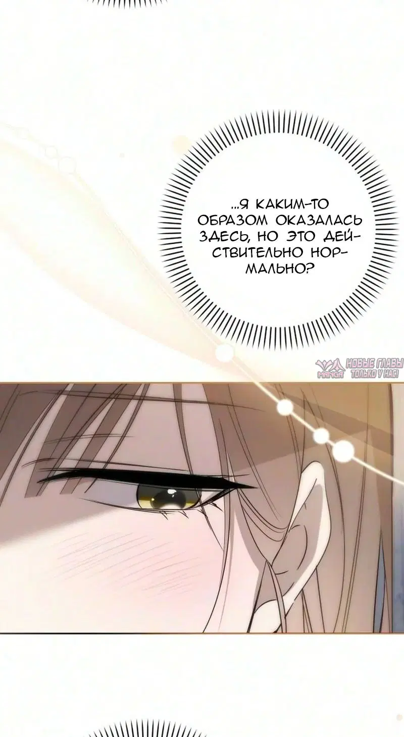 Page 12.000000000