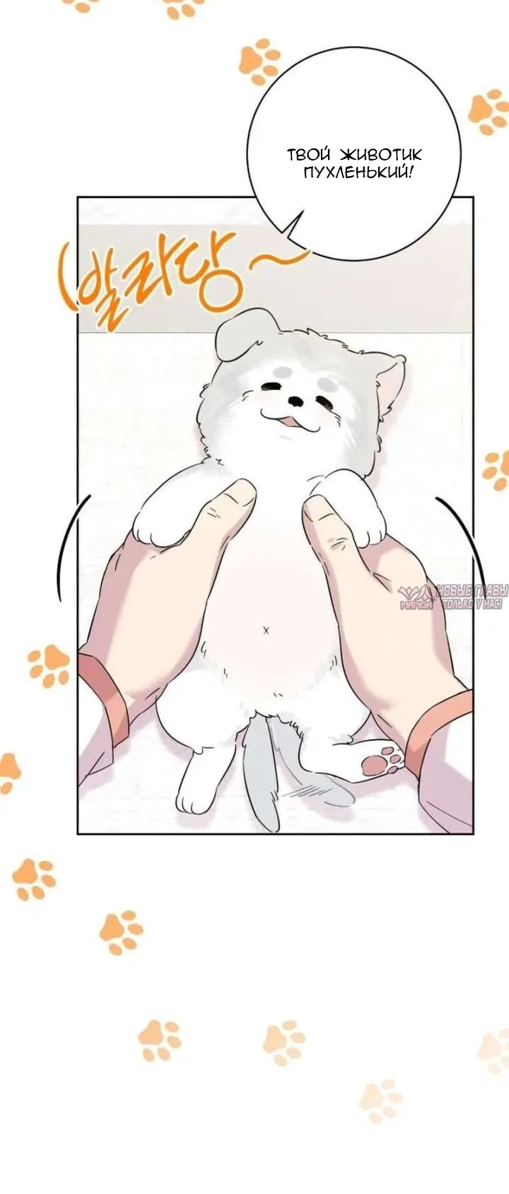 Page 3.000000000