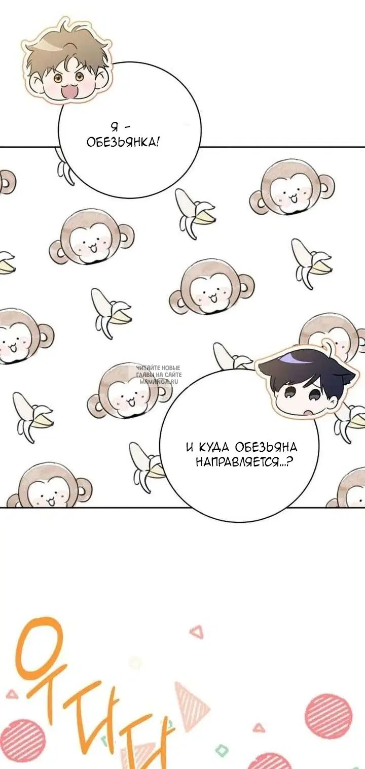 Page 21.000