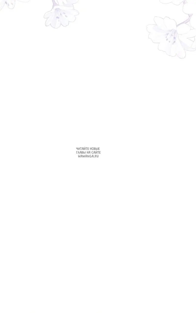 Page 48.000