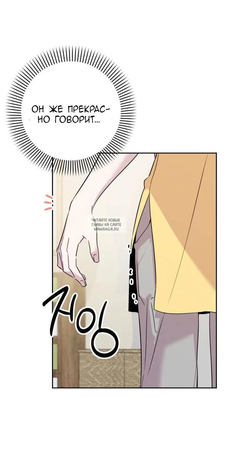 Page 51.000