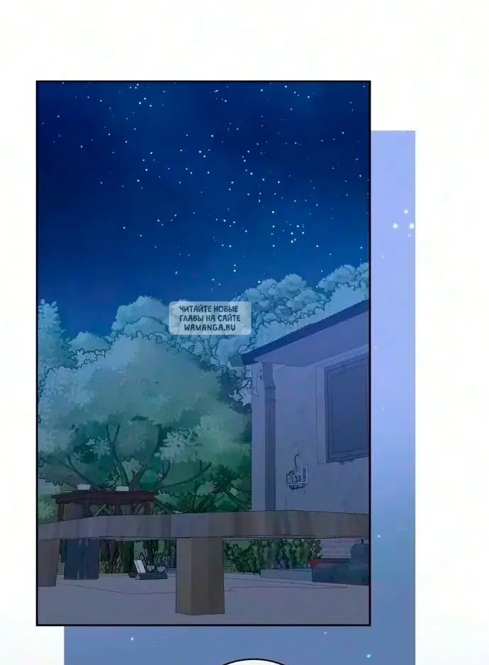 Page 51.000
