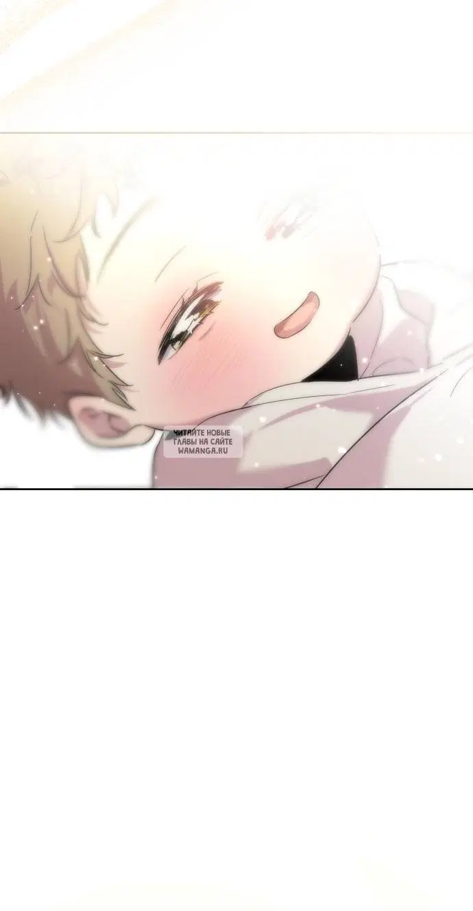 Page 61.000
