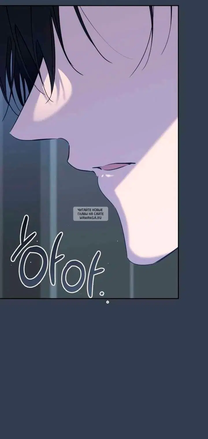 Page 79.000