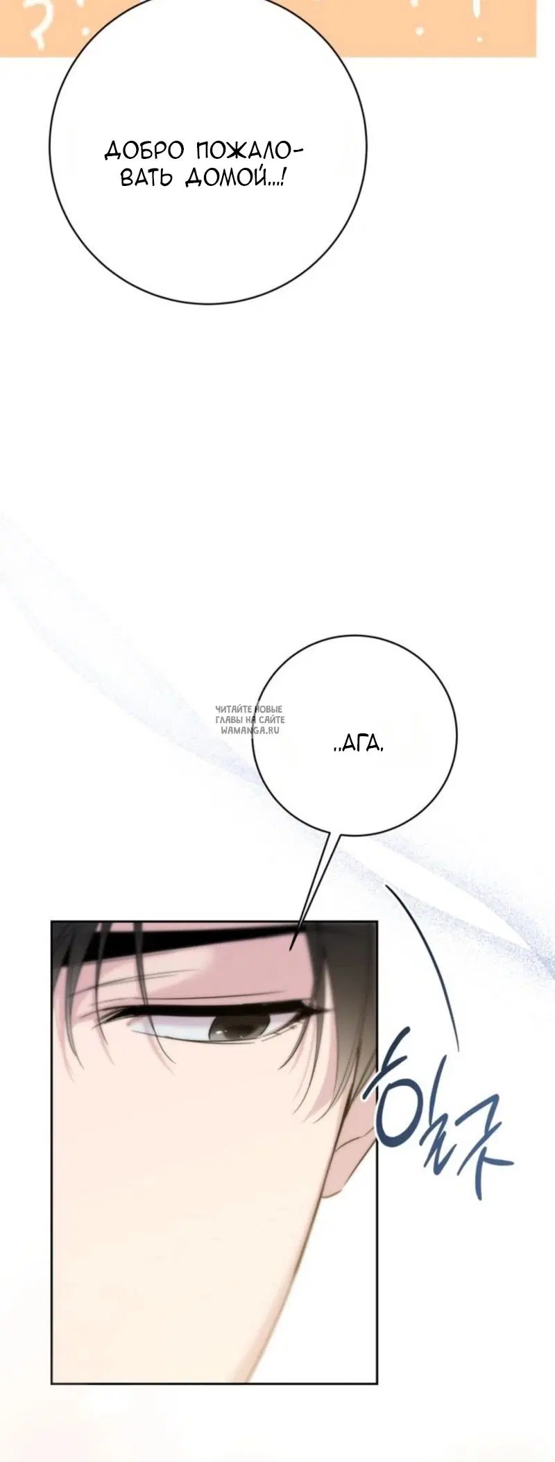 Page 81.000