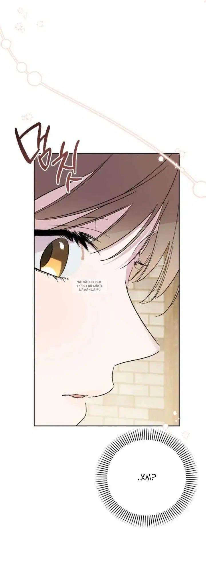Page 91.000