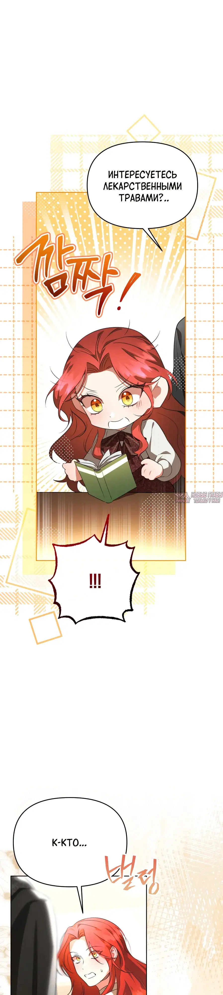 Page 51.000